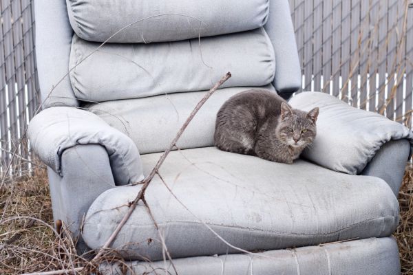 Recliner Disposal in Cincinnati